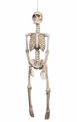 Boland Skeleton Decoration