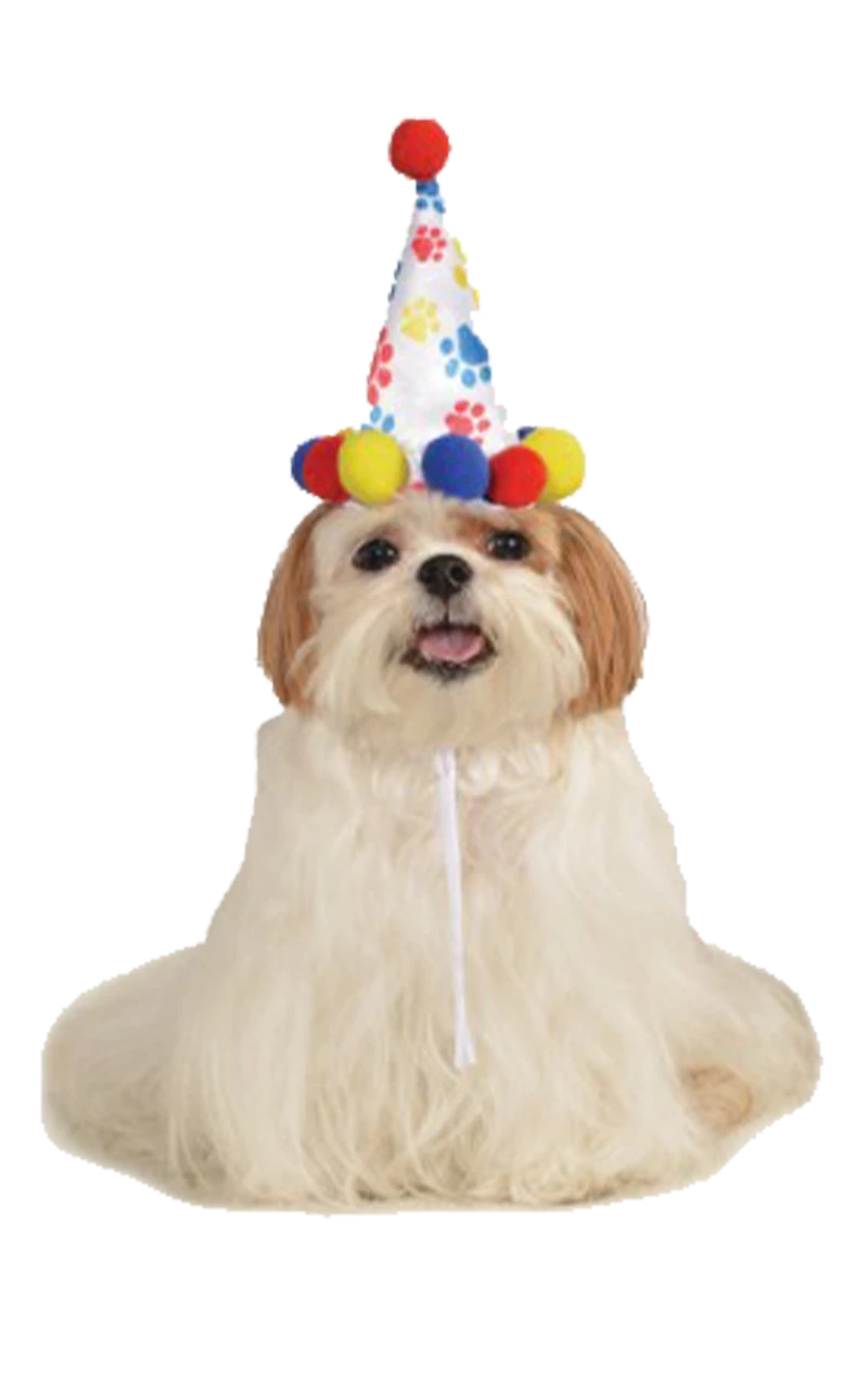 Paw Print Dog Hat 3 Paw Print Dog Hat