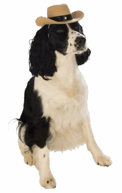 Brown Cowboy Dog Hat