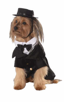 Dapper Dog Costume