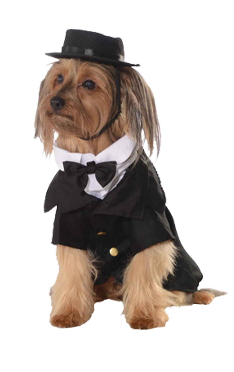 Dapper Dog Costume 3 Dapper Dog Costume
