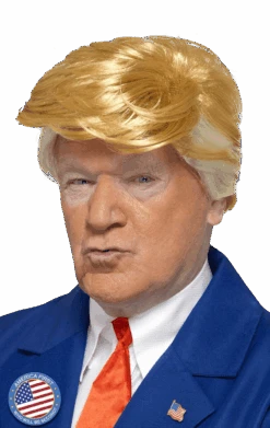 Smiffys President Trump Orange And Blonde Wig