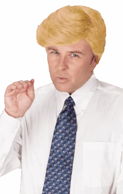 Palmer Comb Over Trump Wig