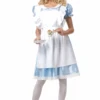 Womens Elegant Alice In Wonderland Costume -Masquerade Costumes 00009432p