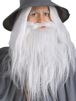 Adult Gandalf Beard And Wig Set