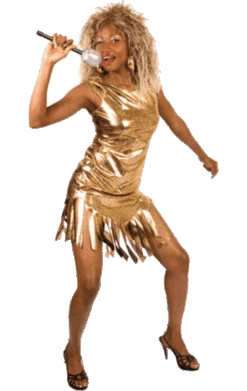 Palmer Gold Rock Queen Costume