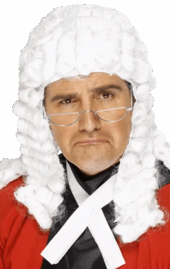 Smiffys Judge Wig