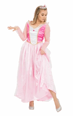 Adult Sleeping Beauty Princess Costume