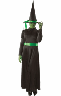 Adult Wicked Witch Halloween Costume