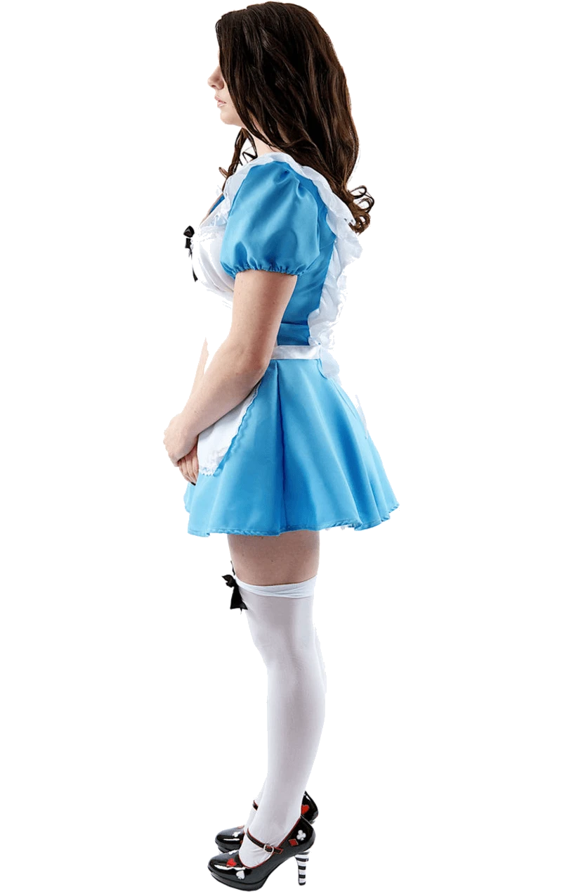 Womens Traditional Alice In Wonderland Costume 4 Womens Traditional Alice In Wonderland Costume - Image 2