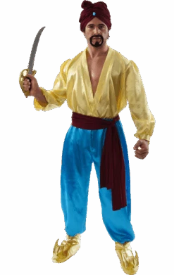 Adult Sinbad Movie Costume