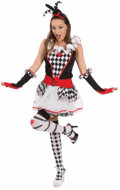 Adult Harlequin Jester Costume