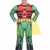 GENERIC Childrens Classic Robin Costume 1 GENERIC Childrens Classic Robin Costume -Masquerade Costumes 00030436p
