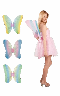 Boland Colourful Butterfly Wings