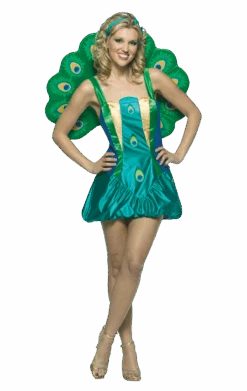 Ladies Peacock Costume