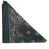 Blue Western Bandana
